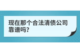 岳阳为什么选择专业追讨公司来处理您的债务纠纷？